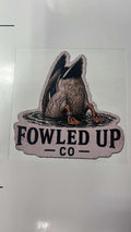 Banded mallard feeder