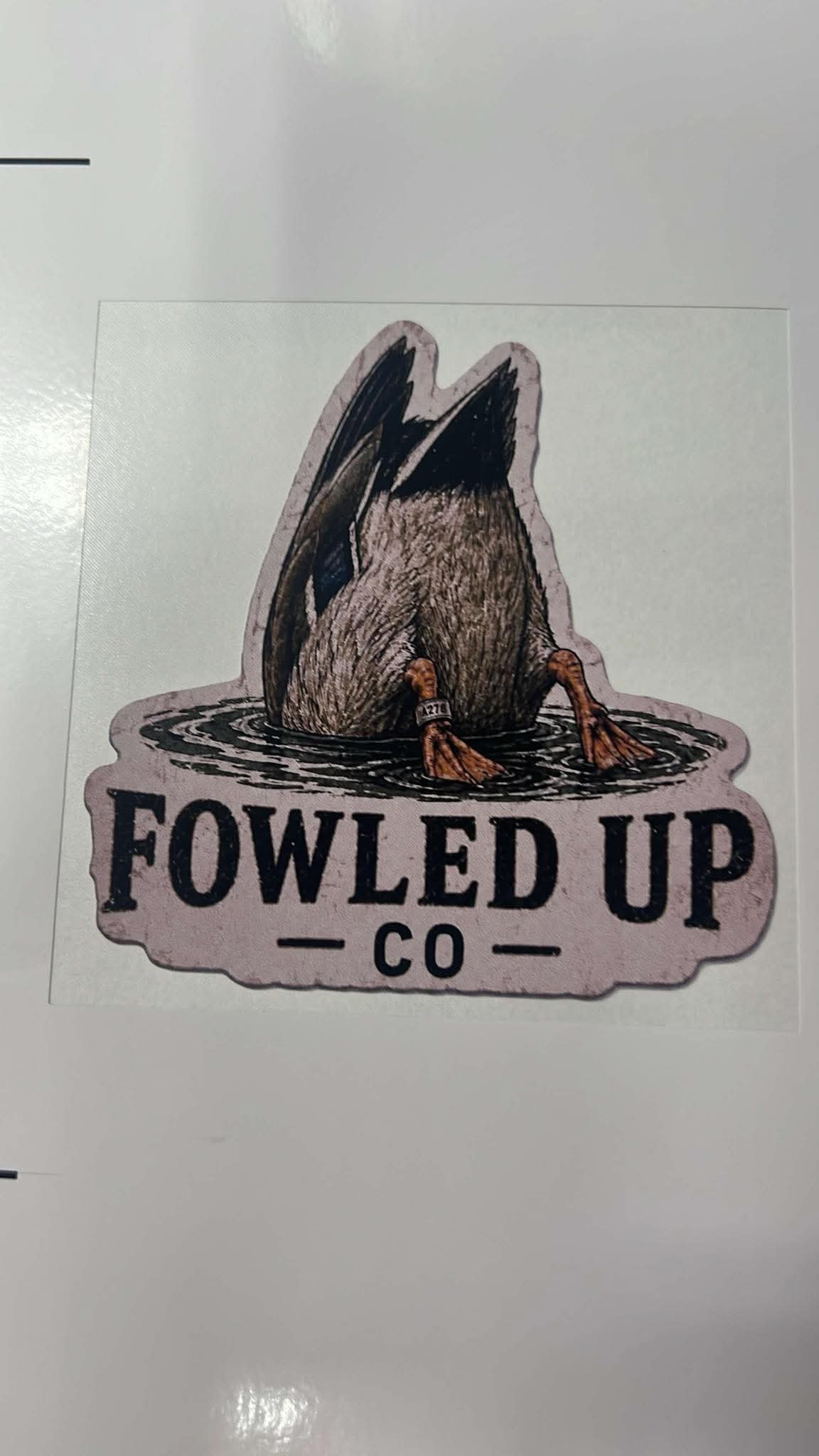 Banded mallard feeder